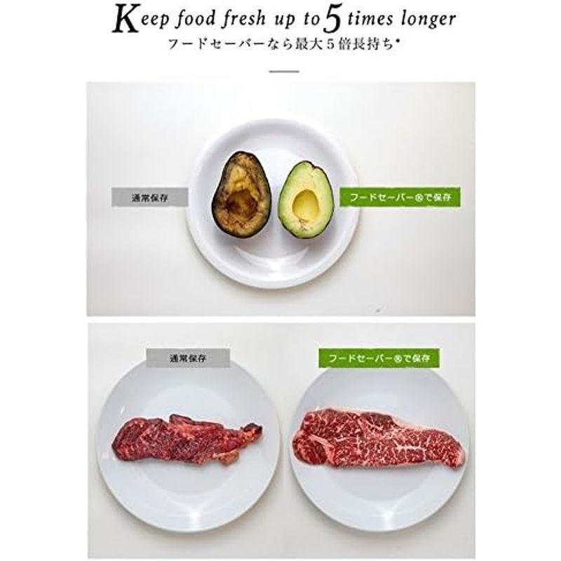 FoodSaver 公式 真空パック機 フードセーバー FM5460-040 公式 真空パック機 フードセーバー FM5460