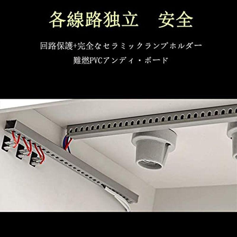 YOLLO 爬虫類ケージ 亀トカゲヘビ飼育ボックス 爬虫類ケース 両生類飼育ケース 組立式 保温ボックス 小動物ハウス お手入れ簡単 (スラ 爬虫類ケージ 亀トカゲヘビ飼育ボックス 爬虫類ケース 両生類飼育ケース 組立式 保温ボックス 小動物ハウス お手入れ簡単 スラ