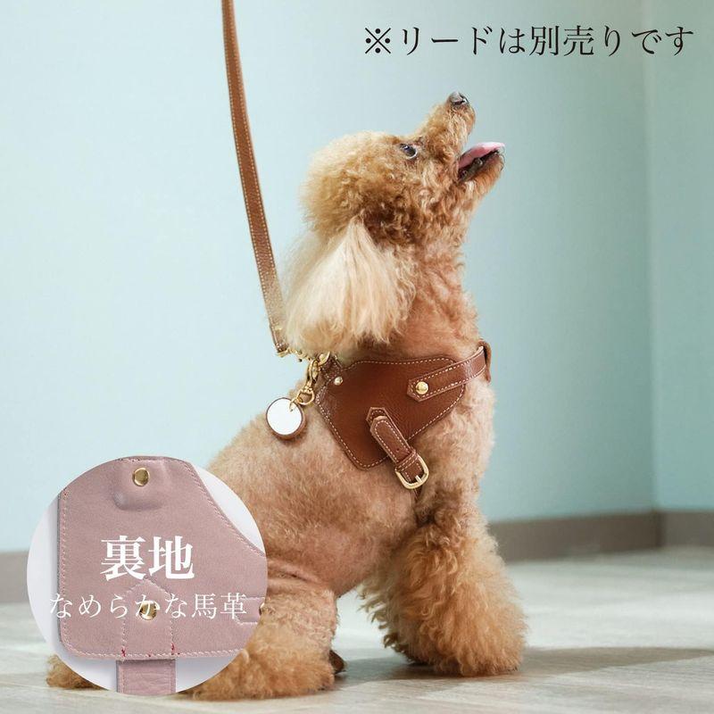 Now&Fountain ボディベルト Bタイプ ナチュラルスキン 本革 ハーネス トイプードル ミニチュアダックスフンド ミニチュアシュナ ミニチュアダックスフンド ボディベルト Bタイプ ナチュラルスキン 本革 ハーネス トイプードル ミニチュアシュナ