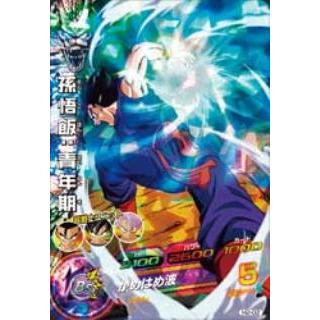 BANDAI（バンダイ） ドラゴンボールヒーローズ/H2-02 孫悟飯：青年期