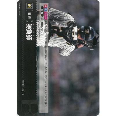 ドリームオーダー PDO-01 勝負師【阪神タイガース】 C | 