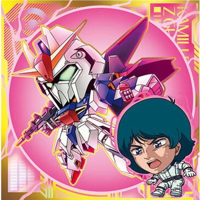 BANDAI（バンダイ） MG2-01 カミーユ・ビダン＆Zガンダム UR にふぉる