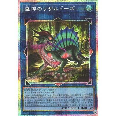 コナミデジタルエンタテインメント 遊戯王 第13期/25DB-JP051 盛悴の