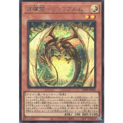 コナミデジタルエンタテインメント 遊戯王 第13期/25DB-JP020 百檎龍