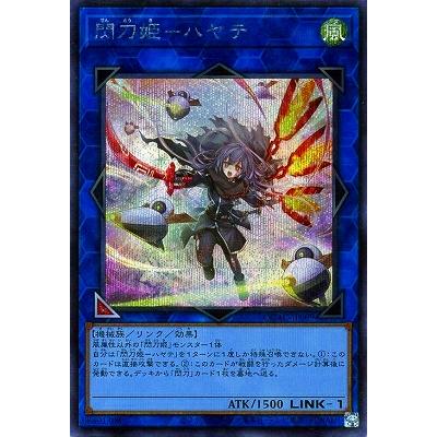 コナミデジタルエンタテインメント 遊戯王 第12期/イラスト違い1 QCAC 