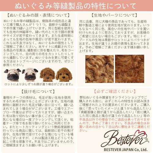 BESTEVER】プレミアムキティ Premium Kitty ぬいぐるみ 猫 ロシアン