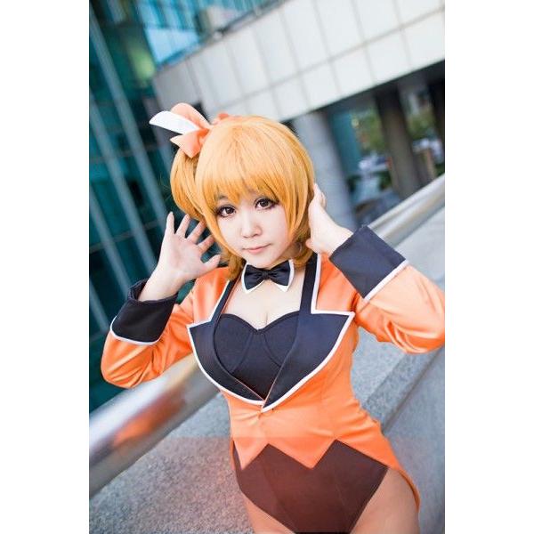 高坂穗乃果 バニーガール コスプレ衣装 Love Live ラブライブ School idol project 覚醒 高坂穗乃果 スクフェス 高坂穗乃果 バニーガール コスプレ衣装 Love Live ラブライブ School idol project 覚醒 スクフェス 商品情報