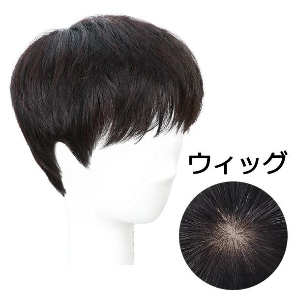 フルウィッグ 短髪 人毛かつら 普段使い ビジネス用 男性用かつら M L お父さんウイッグ 医療用 ウィッグ 自然 メンズ 黒 ブラック