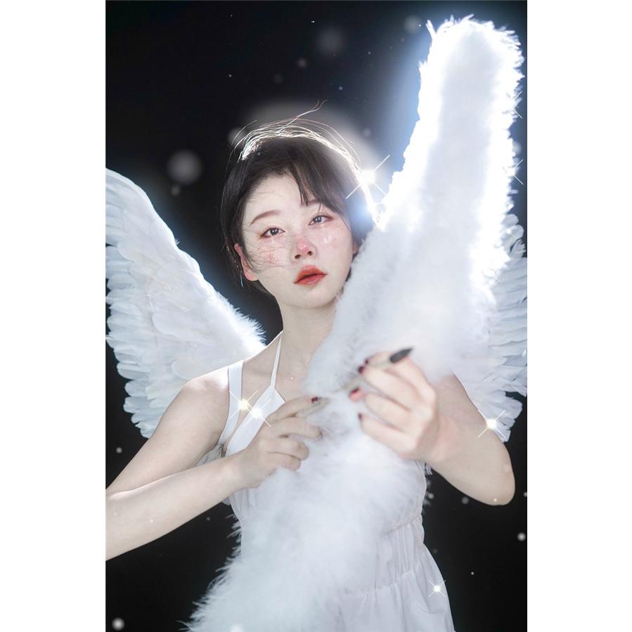 天使の羽 コスプレ道具 羽 翼 弓矢追加可 ウイング 妖精 悪魔 ステージ