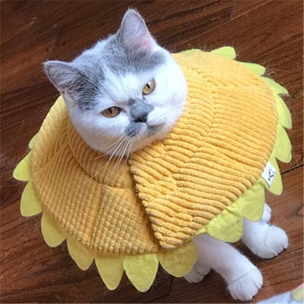 エリザベスカラー 猫用 犬用 ソフト やわらか 綿質 軽量 術後 柔らかい ヘルスケア 保護襟 皮膚病 避妊 術後ウェア 快適 調整可能 |  | 01