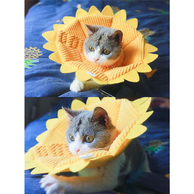 エリザベスカラー 猫用 犬用 ソフト やわらか 綿質 軽量 術後 柔らかい ヘルスケア 保護襟 皮膚病 避妊 術後ウェア 快適 調整可能 |  | 02