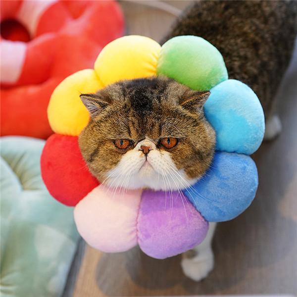 エリザベスカラー 猫用 犬用 ソフト やわらか 綿質 軽量 術後 柔らかい ヘルスケア 保護襟 皮膚病 避妊 術後ウェア 快適 調整可能 |  | 04