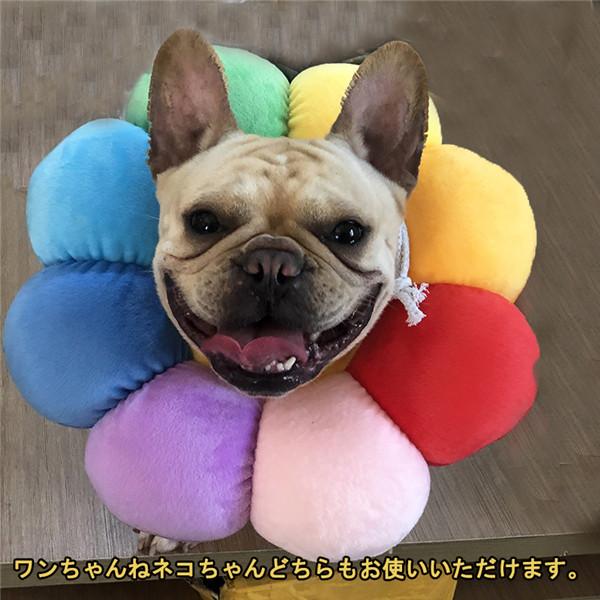 エリザベスカラー 猫用 犬用 ソフト やわらか 綿質 軽量 術後 柔らかい ヘルスケア 保護襟 皮膚病 避妊 術後ウェア 快適 調整可能 |  | 05