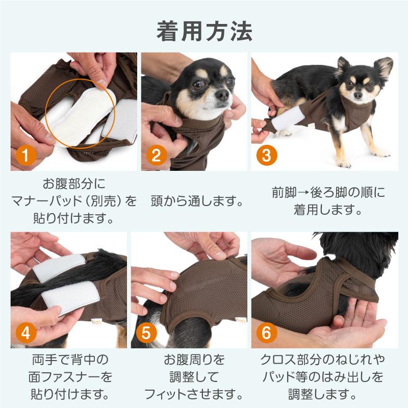 犬の餌　マナーウェア　まとめ売り Amazon | マナーウェア 犬用 おむつ 男の子用 SSSサイズ 超小型