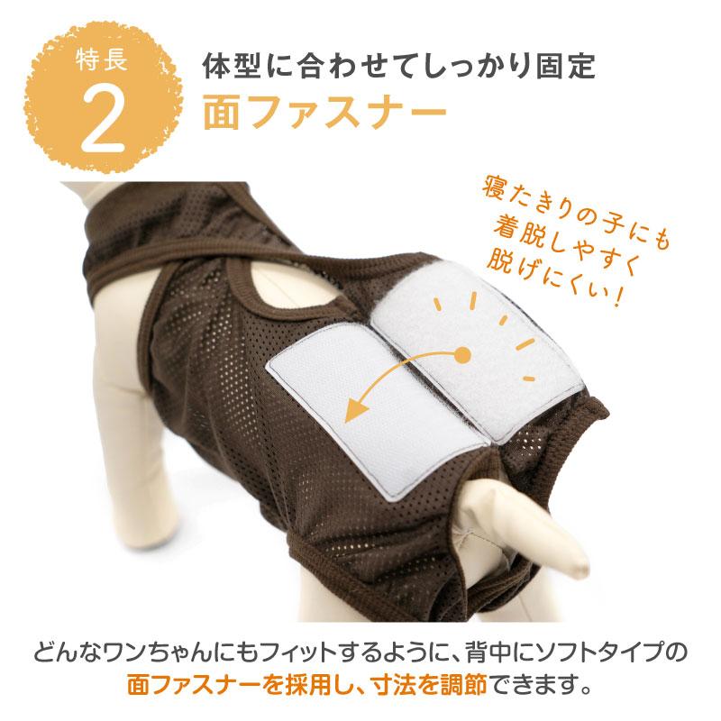 小型犬用 パンツ サイズS ウエスト約20cm(10cm伸びます) ズレない 脱げない 漏れない 犬 服 メッシュ 介護服 マナー