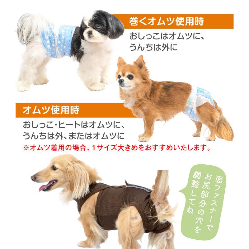 小型犬用 パンツ サイズS ウエスト約20cm(10cm伸びます) ズレない 脱げない 漏れない 犬 服 メッシュ 介護服 マナー