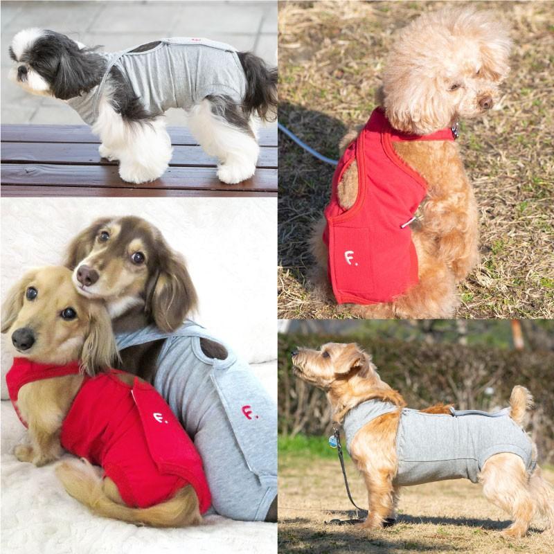 エリザベスカラーの代わりになる 獣医師推奨 犬用f ベア天術後服エリザベスウエア R 女の子 雌 ダックス 小型犬用 ネコポス値2 避妊 去勢 乳腺腫瘍 ウェア 14 1 犬の服 Full Of Vigor ヤフー店 通販 Yahoo ショッピング