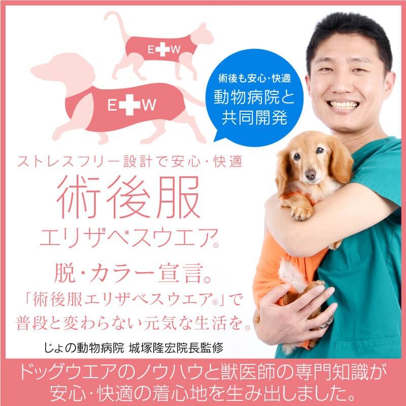 F.術後服エリザベスウェアR 犬用 女の子 雌 メス コーギー 柴犬 中型犬用 避妊 乳腺腫瘍 手術 介護 ウエア エリザベスカラー 獣医師推奨 ネコポス値3までOK｜fullofvigor-yshop｜07