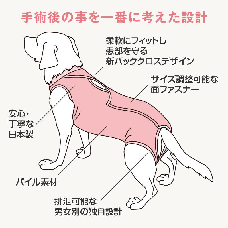 最新犬の新生子診療マニュアル Amazon.co.jp: VETERINARY BOARD No.73（2025年5月号）新薬