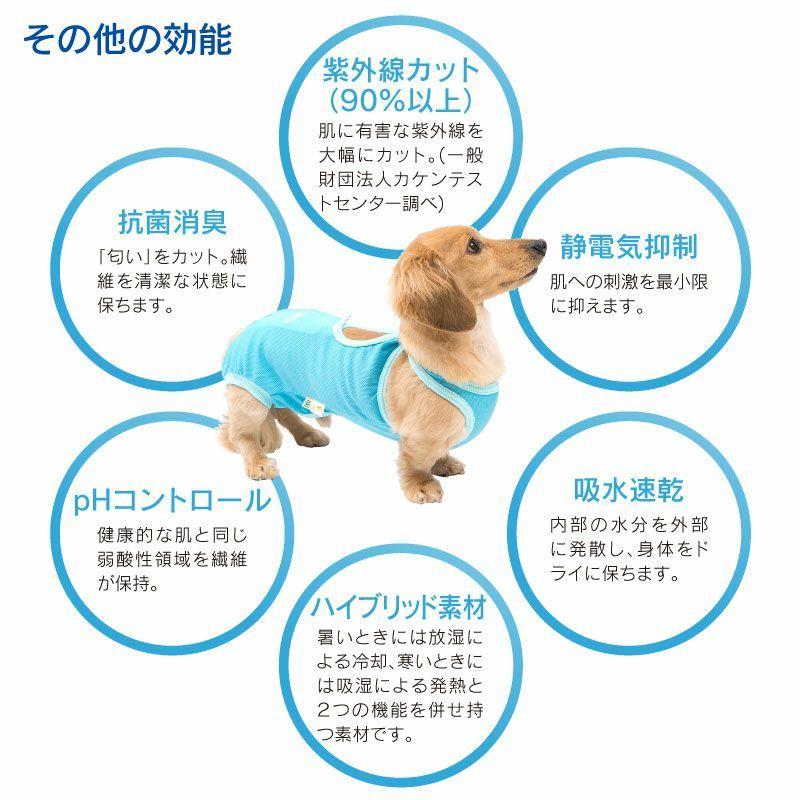 術後服エリザベスウェアR 犬用 男の子 雄 オス ダックス 小型犬用 避妊 去勢 乳腺腫瘍 手術 ウエア エリザベスカラーの代わり 獣医師推奨 ネコポス値2｜fullofvigor-yshop｜09