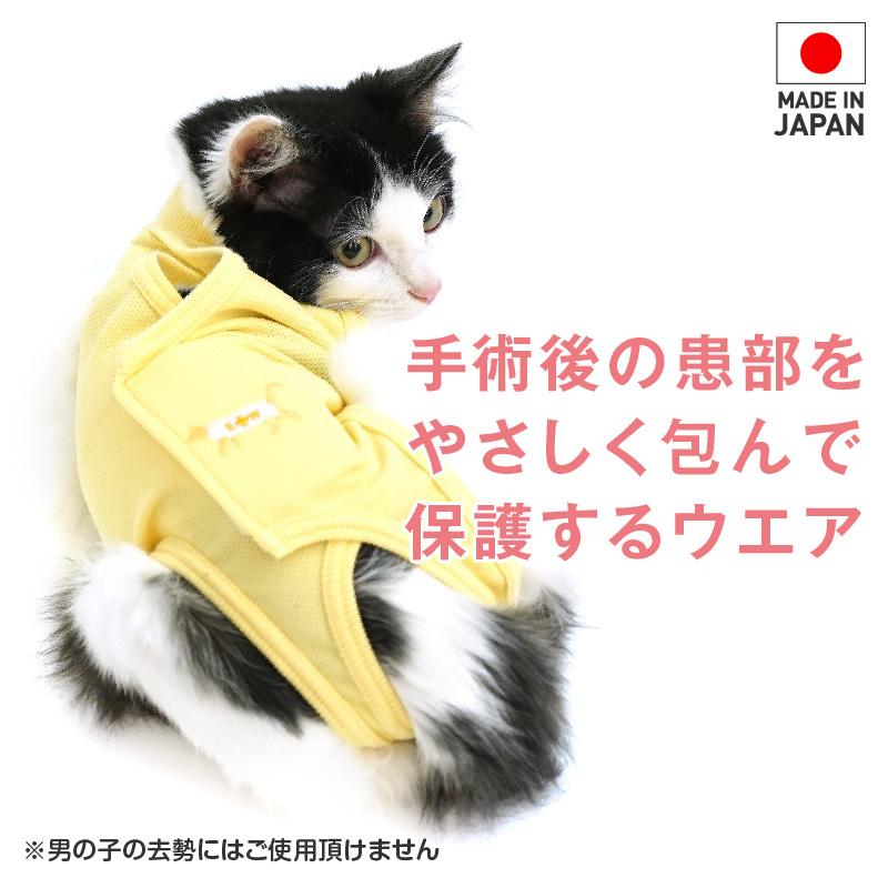 full of vigor エリザベスカラーの代わりになる 猫 服 過剰 full of vigor エリザベスカラーの代わりになる 猫 服 過剰