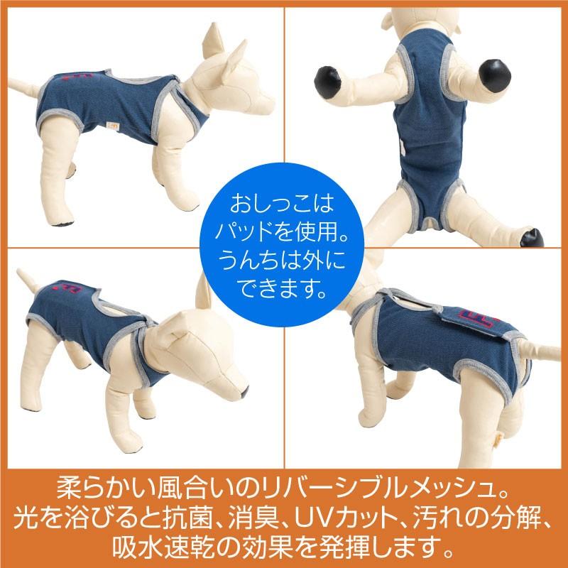 抗菌 消臭機能付男の子用マナーガード R ダックス 小型犬用 ネコポス値2 日本製 マナーパンツ マーキング 介護 おむつ シニア 老犬 お漏らし お出かけ 17 1 犬の服 Full Of Vigor ヤフー店 通販 Yahoo ショッピング