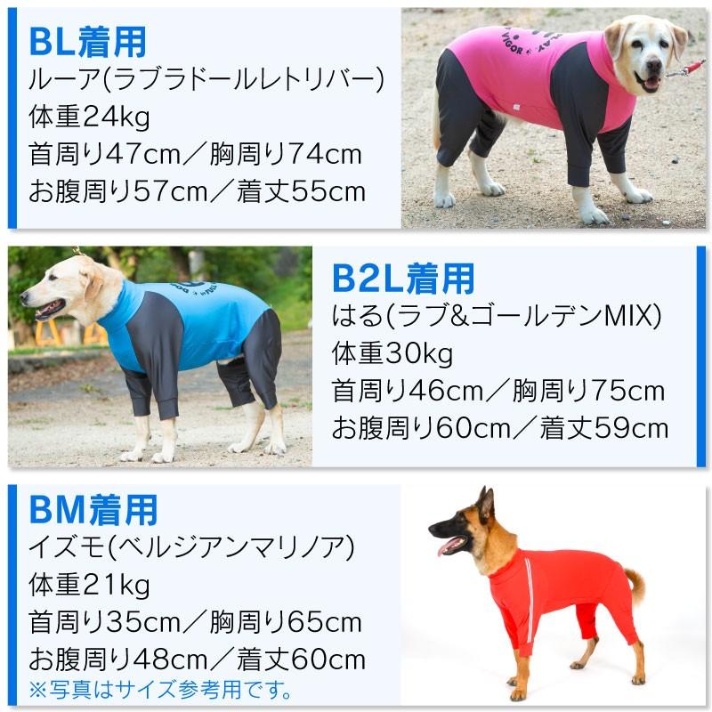 夏の水遊びや冬の雪遊び防寒で大活躍 ドッグプレイ R サークルプリントラッシュガード 大型犬用 ネコポス値6 犬の服 洋服 ペット ドッグ ウェア 19 1 犬の服 Full Of Vigor ヤフー店 通販 Yahoo ショッピング