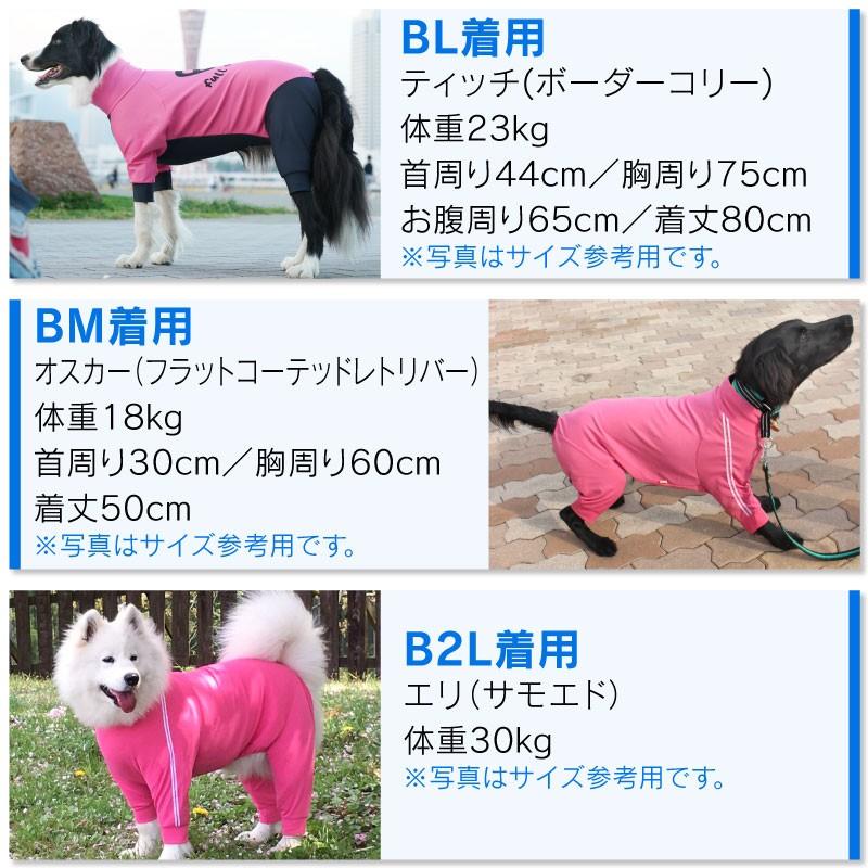 夏の水遊びや冬の雪遊び防寒で大活躍 ドッグプレイ R サークルプリントラッシュガード 大型犬用 ネコポス値6 犬の服 洋服 ペット ドッグ ウェア 19 1 犬の服 Full Of Vigor ヤフー店 通販 Yahoo ショッピング