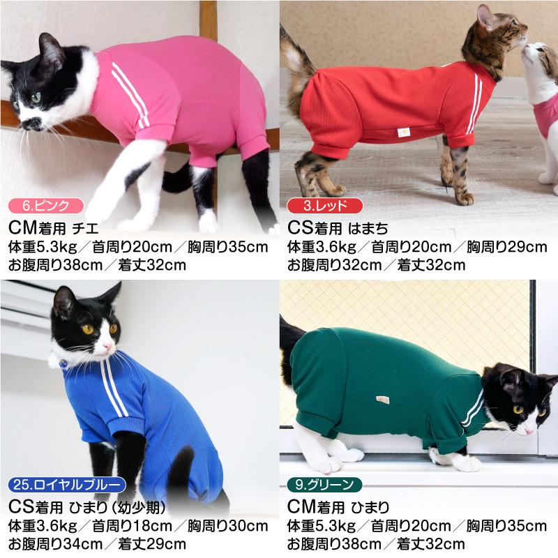 春夏新作 猫専用 猫用体操服ジャージつなぎ ネコポス値2 フルオブビガー 猫の服 洋服 ペット キャット ウェア 1 犬の服 Full Of Vigor ヤフー店 通販 Yahoo ショッピング