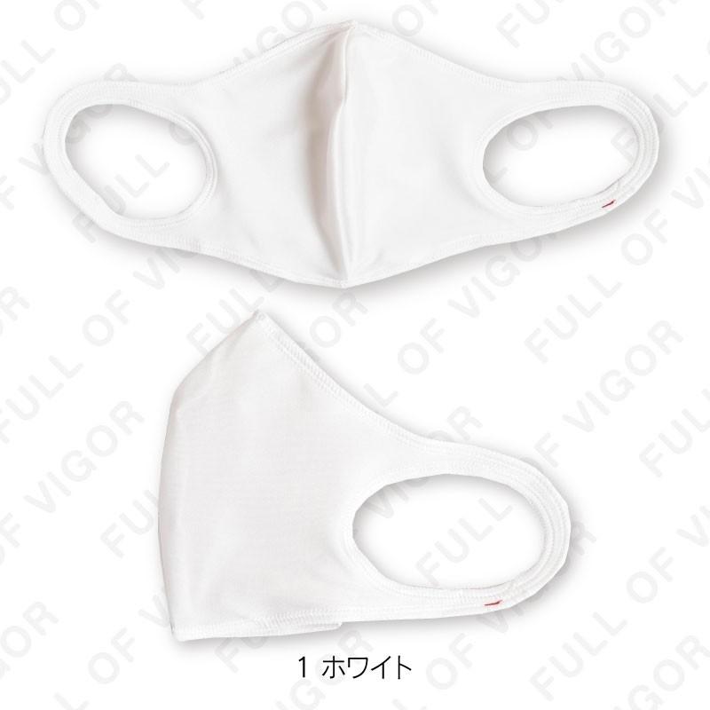 夏 日本製 洗える 布マスク 2枚入 接触 冷感 お散歩 エチケット マスク