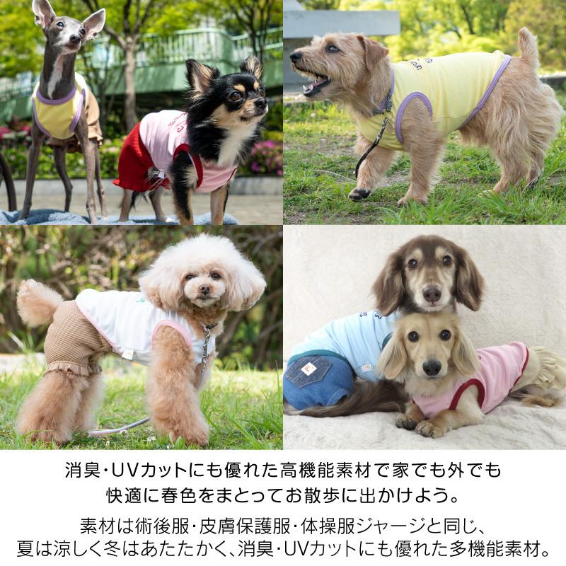 チープ 22年春夏新作 抗菌 消臭機能付きロゴプリントタンク ダックス 小型犬用 ネコポス値2 Ebrahimimaryam Com
