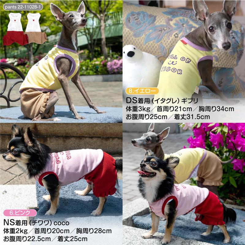 チープ 22年春夏新作 抗菌 消臭機能付きロゴプリントタンク ダックス 小型犬用 ネコポス値2 Ebrahimimaryam Com