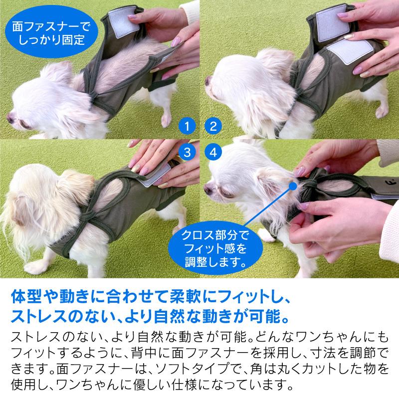 オンライン限定商品 21年秋冬新作 エリザベスカラーの代わりになる 獣医師推奨 F 術後服エリザベスウエア R 男の子 ダックス 小型犬用 伸縮性素材 ネコポス値2 Discoversvg Com