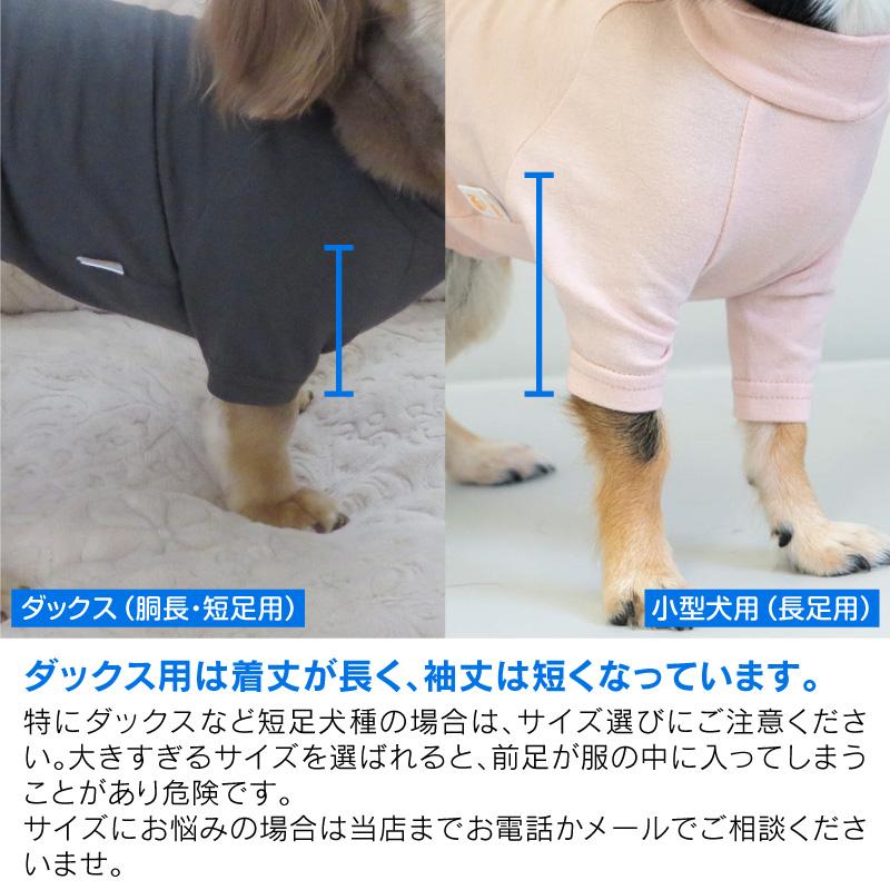 ベア天竺ラグランTシャツ(ダックス・小型犬用)【ネコポス値2】｜fullofvigor-yshop｜14