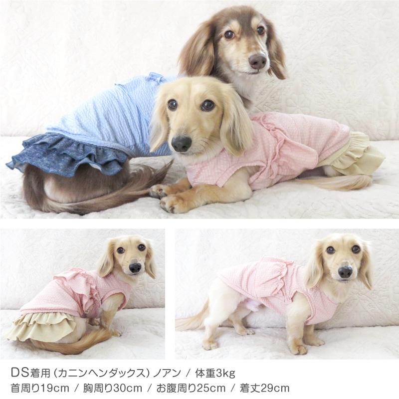 full of vigor 犬 服 ストライプ フリル 吸水速乾 タンク