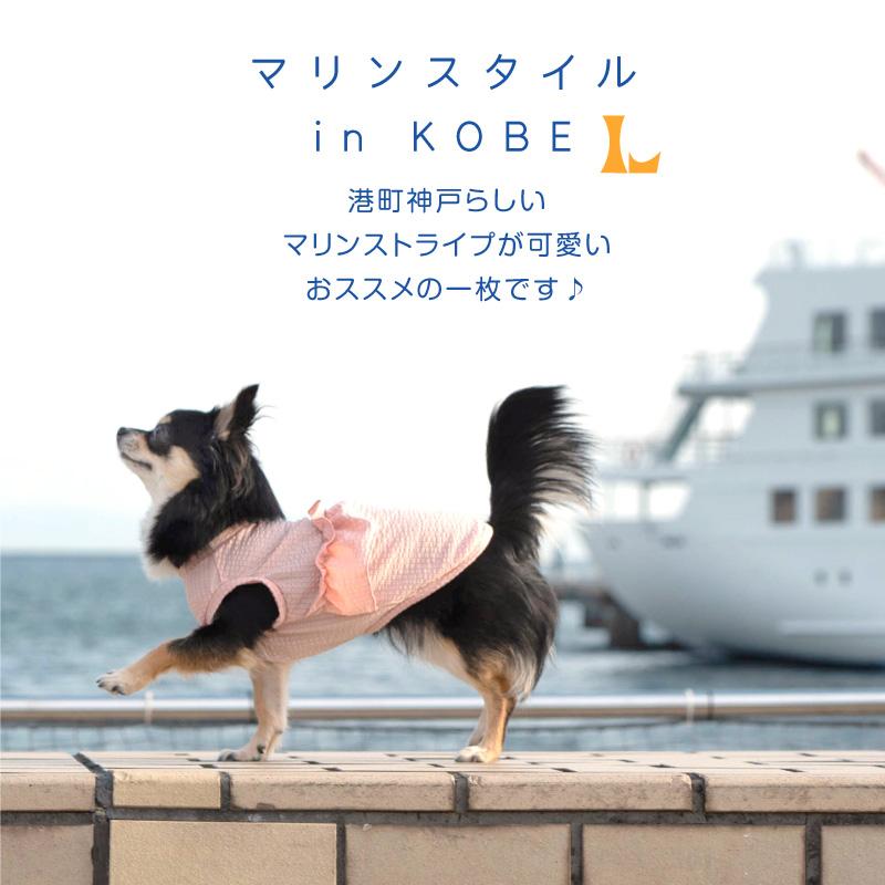 full of vigor 犬 服 ストライプ フリル 吸水速乾 タンク