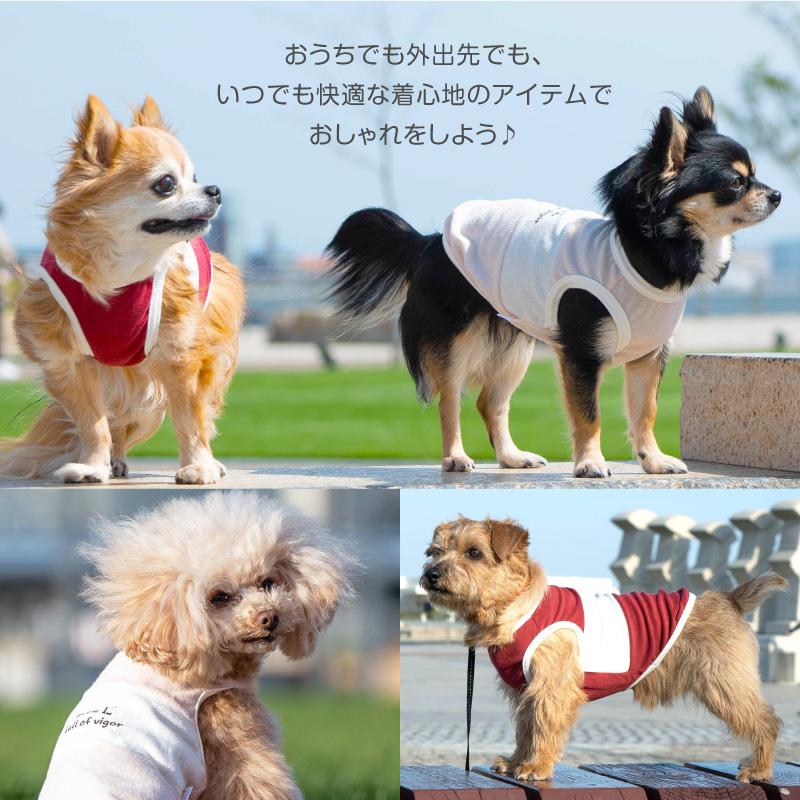 【とも】犬服タンクトップ 22-02185-1_2.jpg