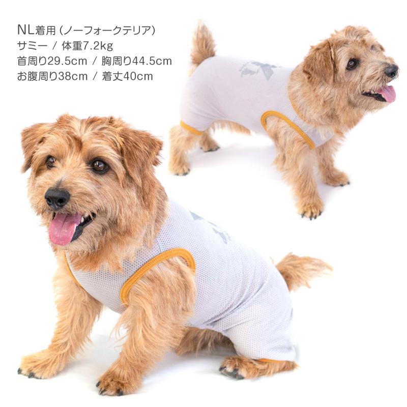 芋けんぴ【新品未使用 試着のみ】littlesunnybite新作ロンT 楽天
