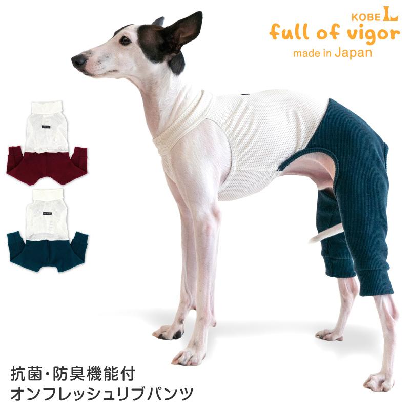 イタグレ 服 冬 秋 イタグレ用 抗菌 防臭 機能付 オンフレッシュ リブ