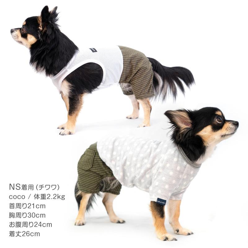 下着・アンダーウェア DOG 楽天市場】犬プリントショーツ Lickstarter adventurer リック