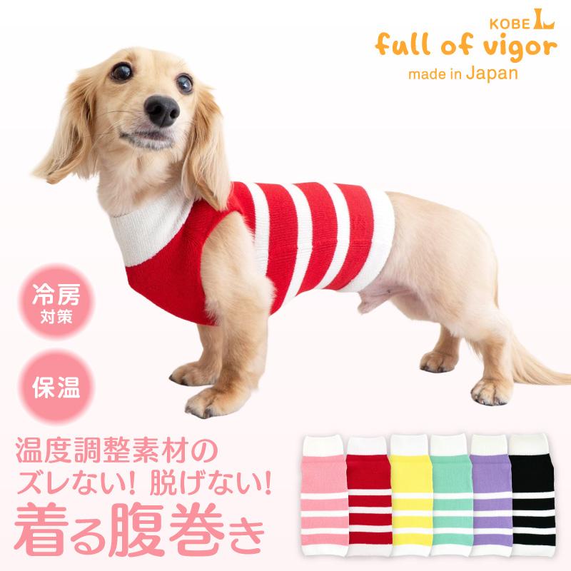 ドッグウェア ニット S タートルネック パープル 犬服 秋 冬 寒さ対策