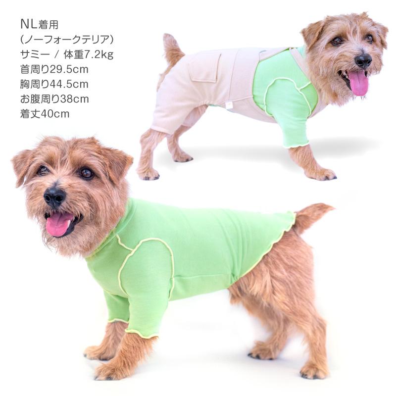 配色メロウハイネックTシャツ(ダックス チワワ トイプードル 小型犬用)【ネコポス値2】犬服 秋冬 かわいい｜fullofvigor-yshop｜12