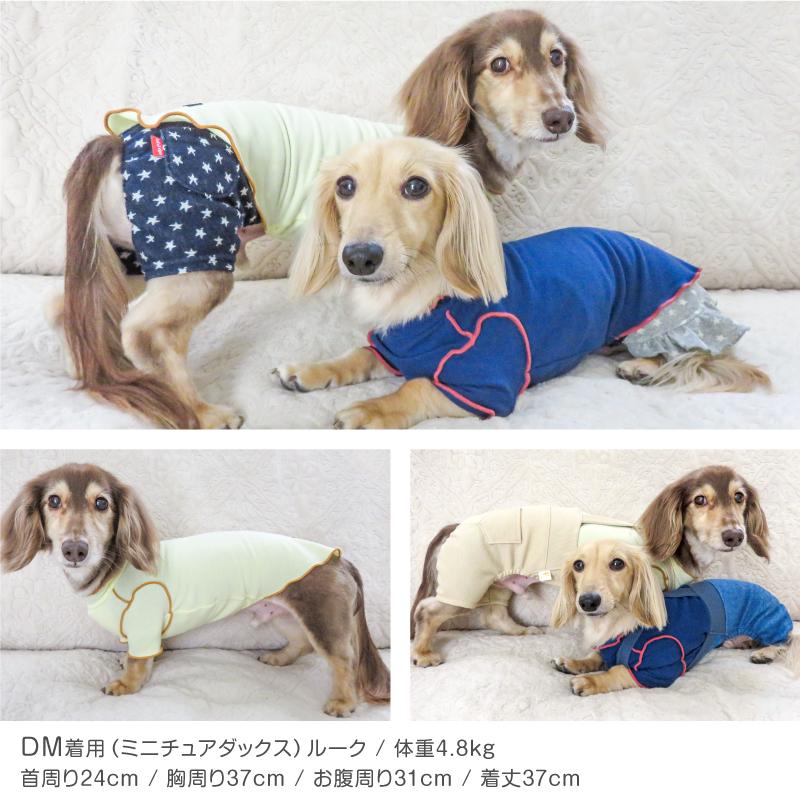 配色メロウハイネックTシャツ(ダックス チワワ トイプードル 小型犬用)【ネコポス値2】犬服 秋冬 かわいい｜fullofvigor-yshop｜16