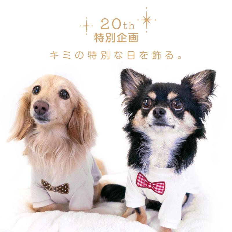 full of vigor 犬 服 春 夏 秋 冬 ネックワッペンベア天竺T full of vigor 犬 服 春 夏 秋 冬 ネックワッペンベア天竺T