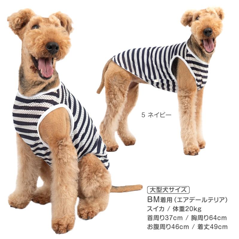 full of vigor 大型犬 服 春 夏 ボーダーメッシュタンク(大型犬 full of vigor 大型犬 服 春 夏 ボーダーメッシュタンク(大型犬