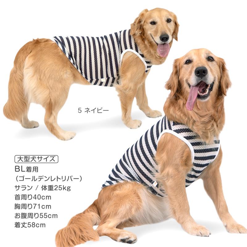 full of vigor 大型犬 服 春 夏 ボーダーメッシュタンク(大型犬 full of vigor 大型犬 服 春 夏 ボーダーメッシュタンク(大型犬