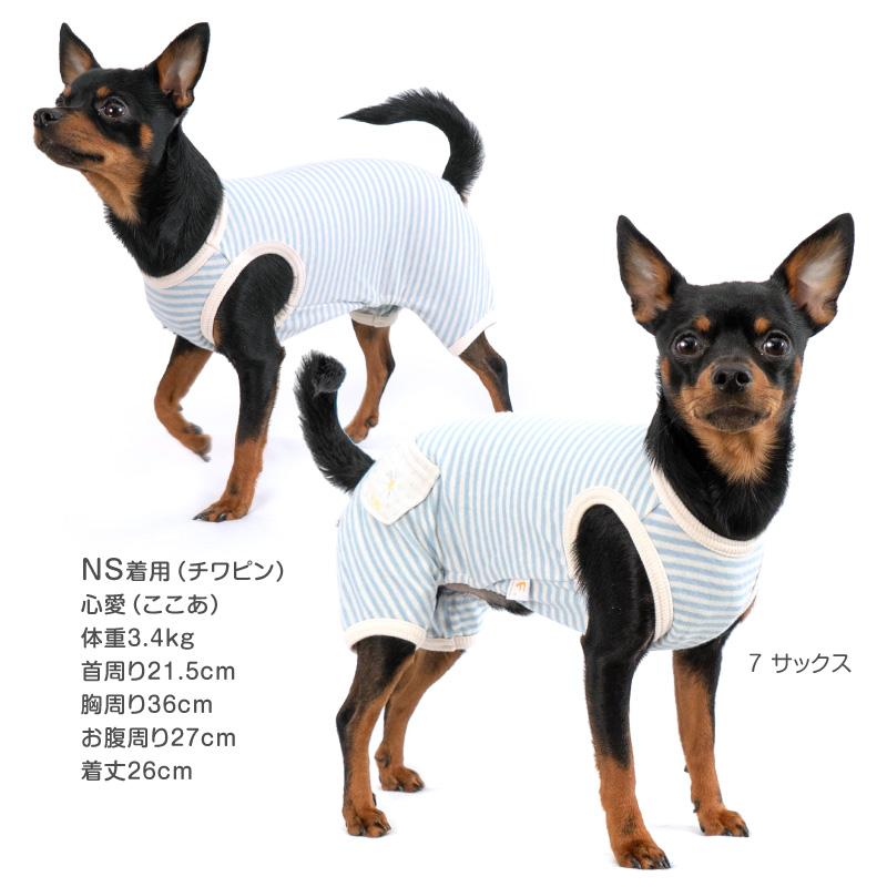 ペット　服 zakkanet_pxl1041