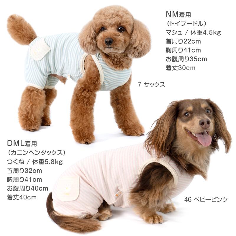 ssamori です 犬服 楽天市場】【 PiPi 】シアサッカー しじま織りワンピース 中