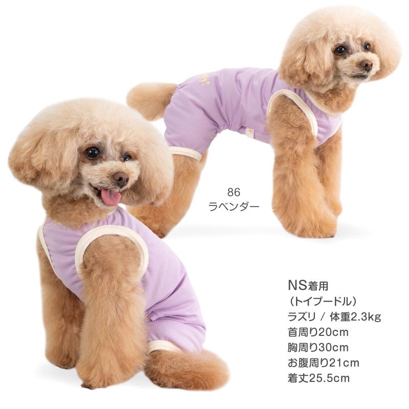 アル ドッグウェアセット アル ドッグウェアセット 全品（アイテム）,ドッグウェア