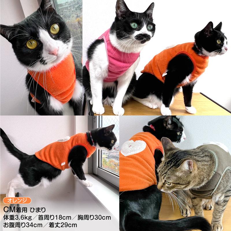 お得なキャンペーンを実施中 2020年冬新作 猫専用 猫用ウォームボーダー袖付きTシャツ ネコポス値2 east-wind.jp お得なキャンペーンを実施中 2020年冬新作 猫専用 猫用ウォームボーダー袖付きTシャツ ネコポス値2 east-wind.jp